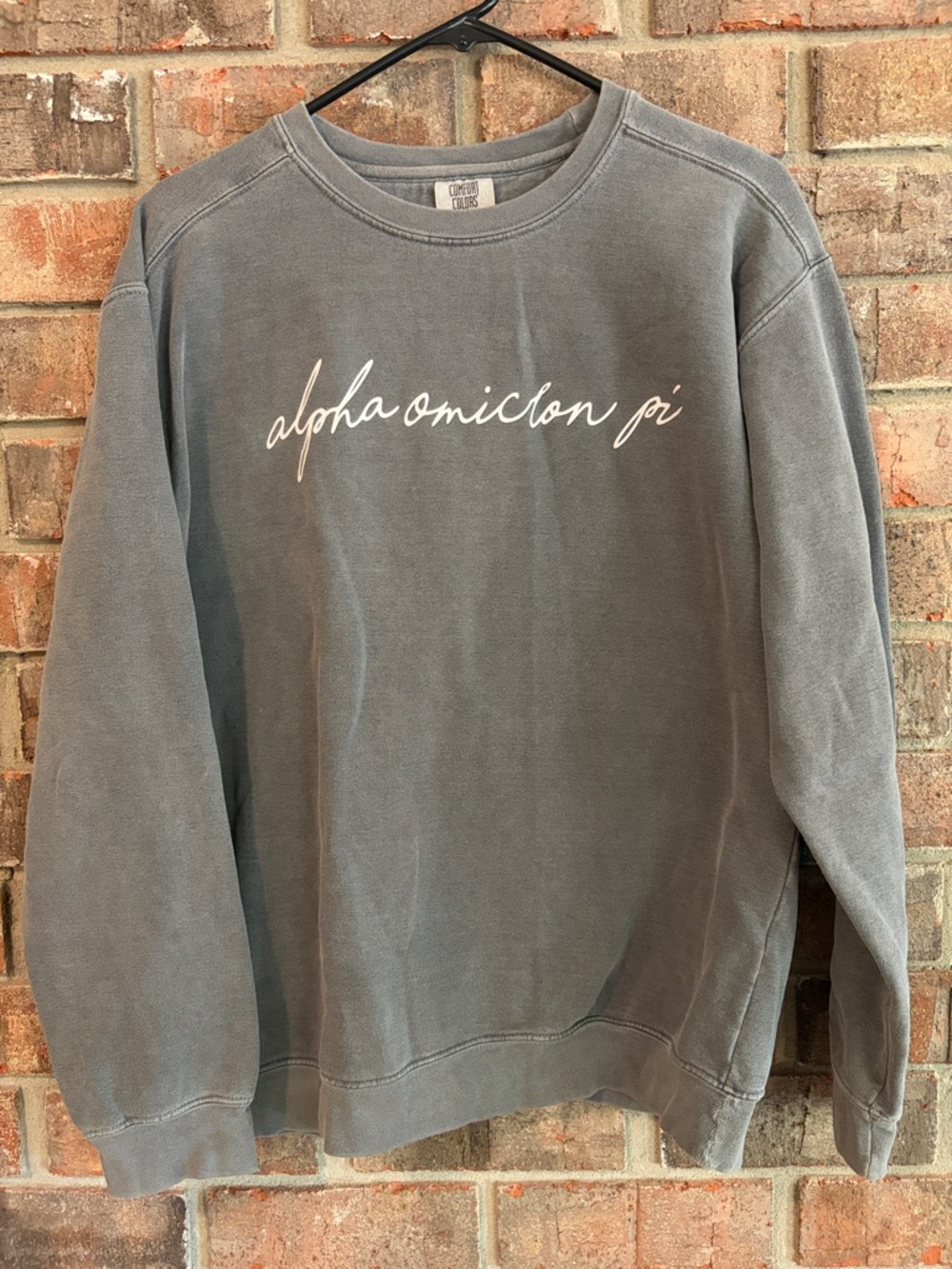 Alpha Omicron Pi Gray Crewneck Sweatshirt